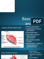 Cardiac Conduction System Power Point Presentation