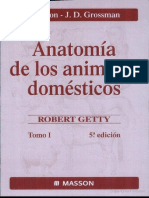 Sisson y Grossman Anatomia de Loa Animal