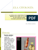 00 - 01 Citología