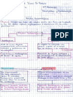 Mapa Conceptual Tipos de Estudios