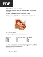 Fisiologia da Lactação e Lactogênese | PDF | Seio | Órgão (anatomia)