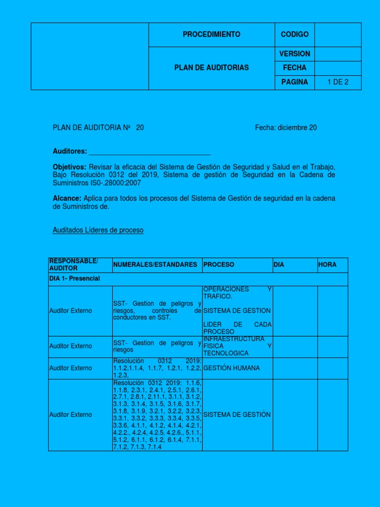 Plan de Auditoría en Seguridad y Salud | PDF | Auditoría | Business