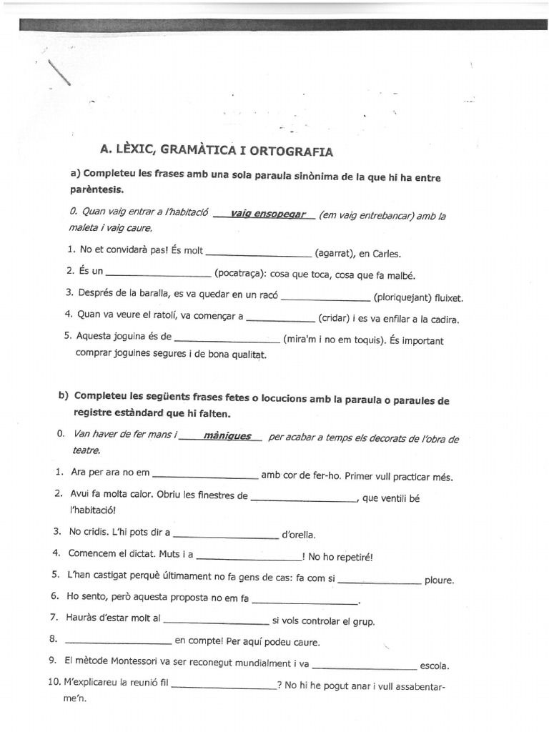 Activitat Lèxic, Gramàtica I Ortografia | PDF
