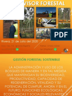 FSC - Gestion Forestal