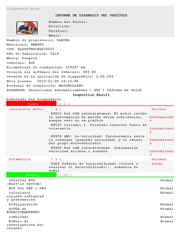 Peugeot (DTC) 979860201295 20230105141308 PDF