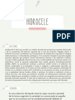 Hidrocele Ramirez Paniagua