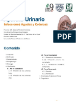 Infeccion de Vias Urinarias PDF