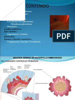 5ta Clase - Continuacion Placenta y Anexos