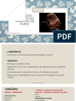 Documento PDF