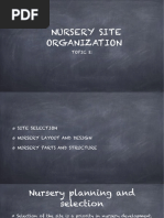 Nursery Layout Design Guide | PDF | Plant Nursery | Horticulture