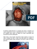 Anatomia Aparelho Cardiovascular