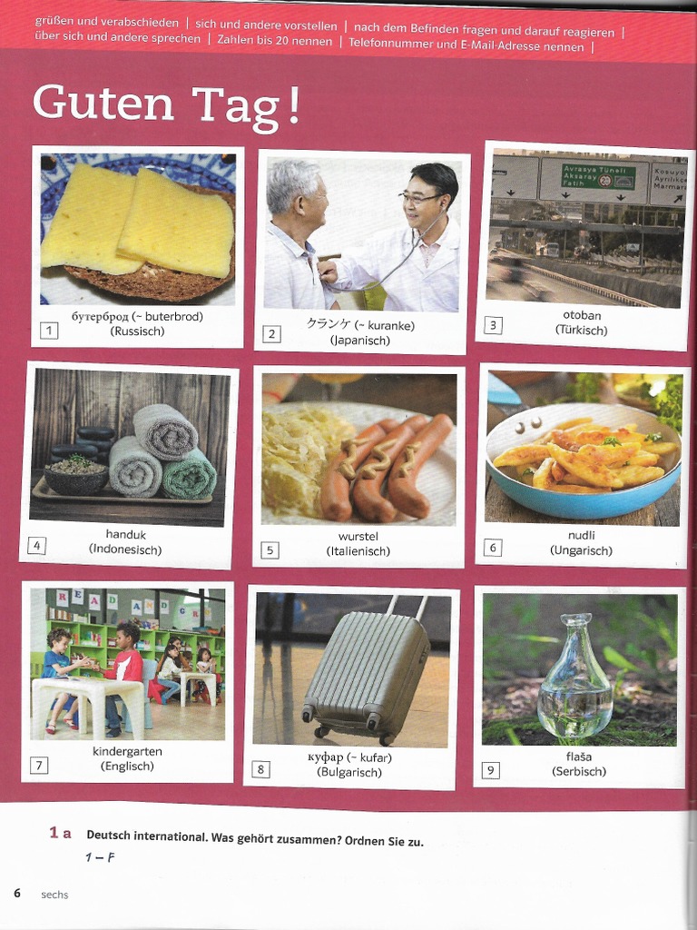 Netzwerk Neu A1.1 PDF Kursbuch Kapitel 1 PDF