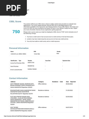 Credit Report