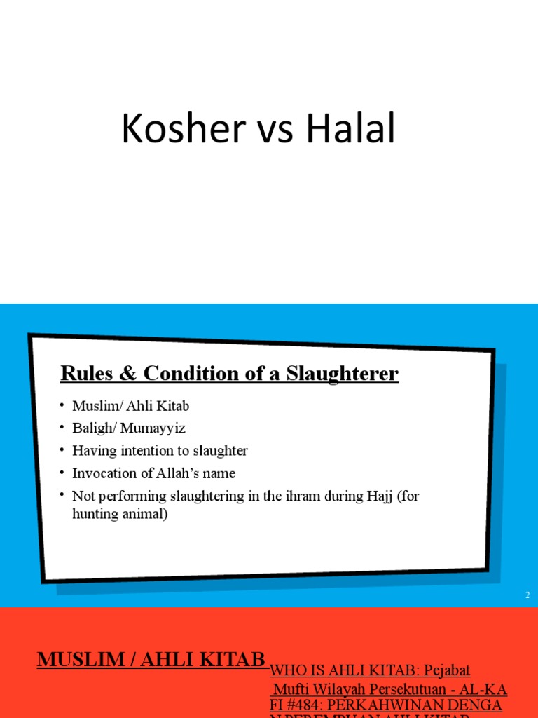 Halal intelligence overview