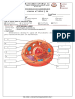 Label the Parts of a Typical Cell