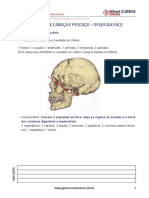 Anatomia Cabeça e Pescoço I