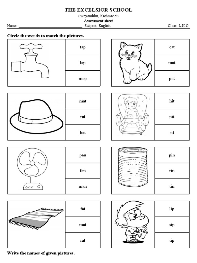 1st Term Assessment | PDF