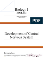 Biol103.7 Development of CNS