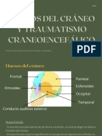 Huesos Del Craneo y Traumatismo Craneoencefálico