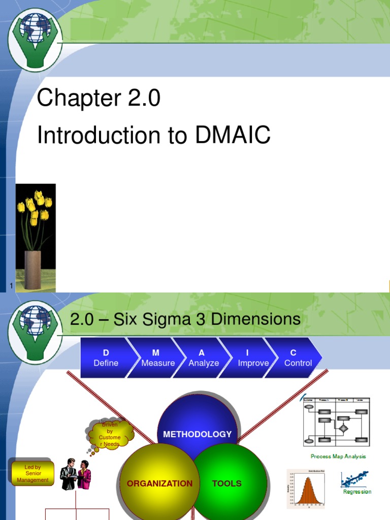 Chapter 2 0 Introduction To Dmaic Pdf Six Sigma Business