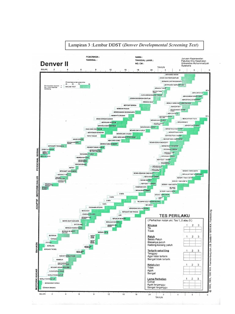 Denver II | PDF | Career & Growth | Computers