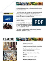 International Wildlife Trade and The Work of TRAFFIC, The Wildlife Trade Monitoring Network