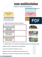Problemas Ambientales