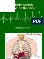 NEW EKG-dr - AKMA