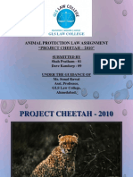 Project Cheetah Animal