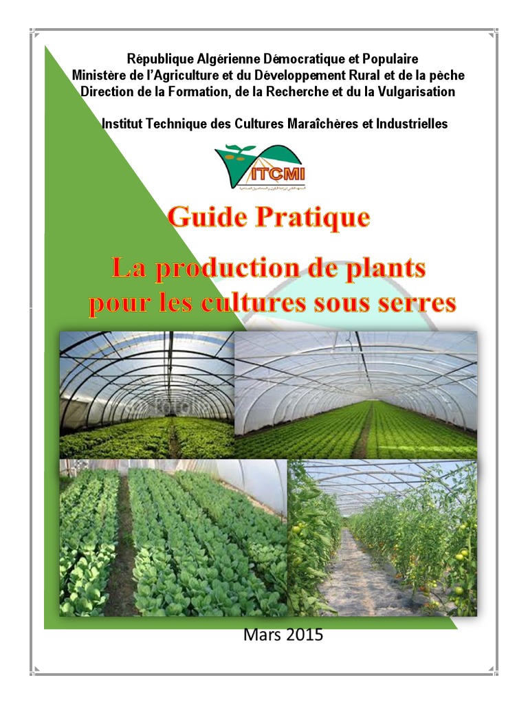 Techniques de Production de Plants Maraîchers | PDF | Semis | Fertilisant