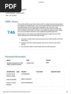 Credit Report