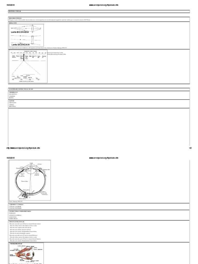 Completo Sistema Visual Pdf Ojo Humano Percepción Visual