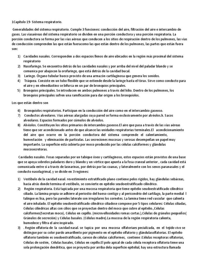 Sistema Respiratorio Resumen 123 - 1681803904