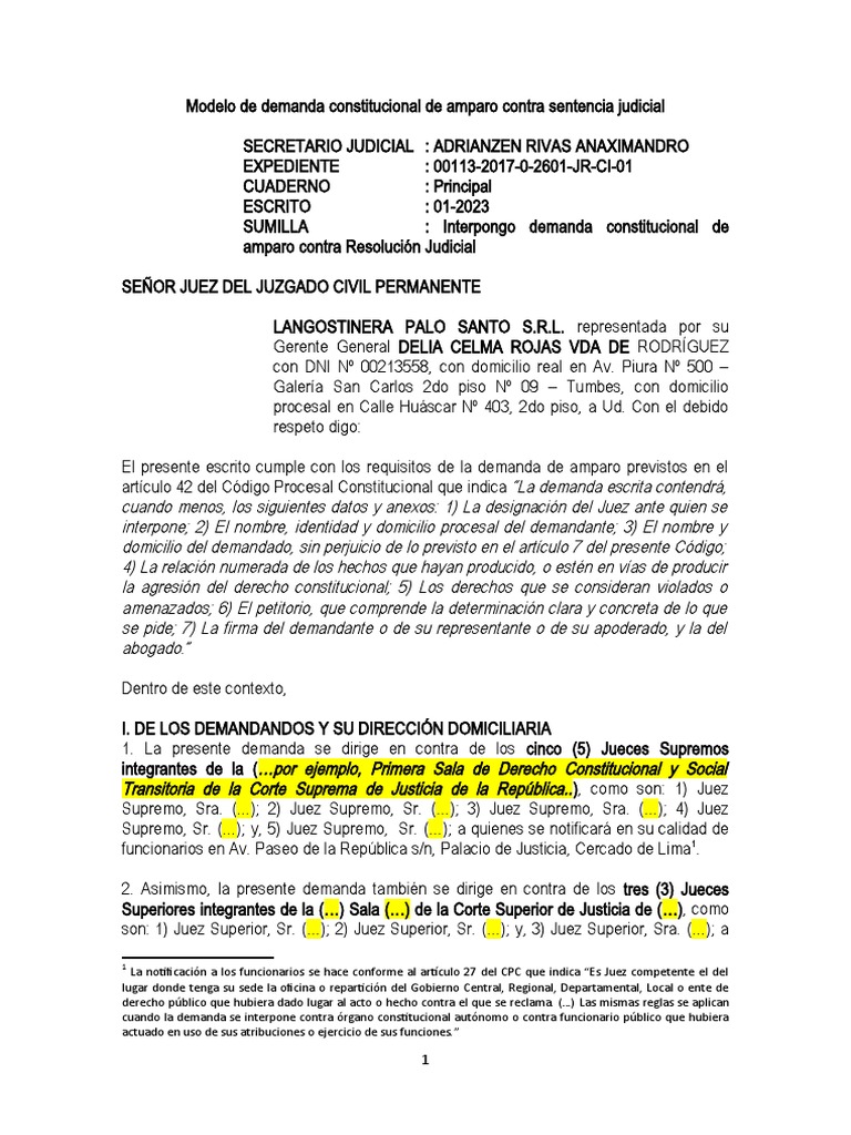 Demanda de Amparo contra Sentencia Judicial | PDF | Ley procesal ...