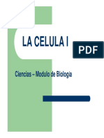 1 La Celula