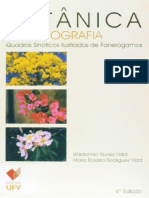 Resumo Botanica Organografia Quadros Sinoticos Ilustrados de Fanerogamos Waldemiro Nunes Vidal