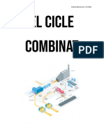 Cicle Combinat