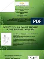 Exposicion Efectos en La Salud Frente A Los Riesgos Quimicos