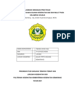 Logbook Minggu Ketiga Sandra Ornela Rosa