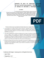 Ganancia peso camarones alimentados Larviva y Nutrafin criados sistemas aireación biofloc