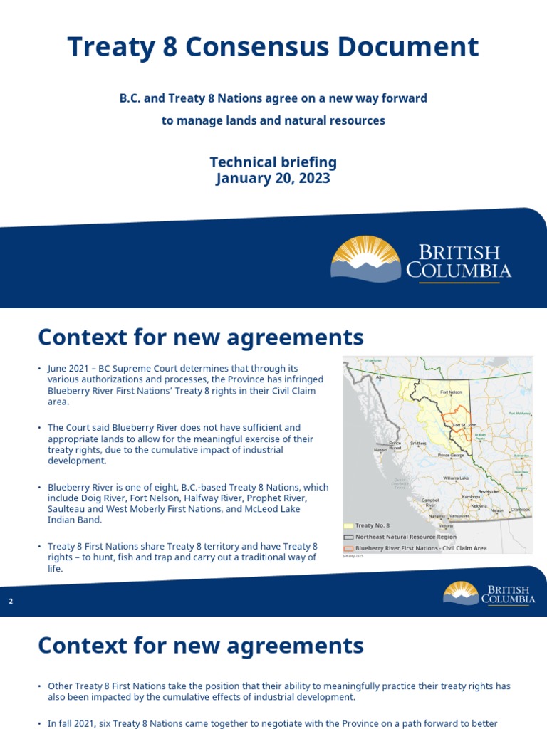 Treaty 8 Consensus Document Technical Briefing PDF Treaty
