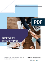 Reporte Ejecutivo - Pappeleria Vale