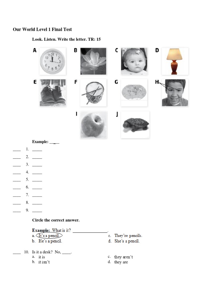 Our World Level 1 Final Test | PDF