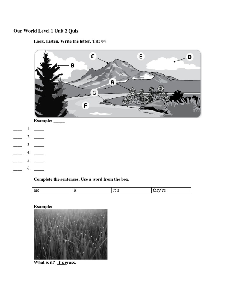 National Geographic Our World Level 1 Unit 2 Quiz PDF