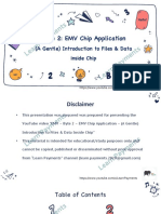 EMV Byte 2 - Chip Application Data