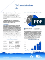 Net Zero 2050 - Sustainable Aviation Fuels