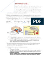 APUNTES DEL CURSO BIOENERGETICA I Abril 05-2020