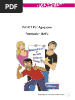 Certificat de Stage Pratique BAFA | PDF | Finance et gestion monétaire