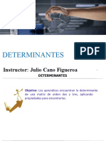 Determinantes 1