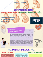Aborto Por Malformación Fetal Beneficio Vs Problema Ético.